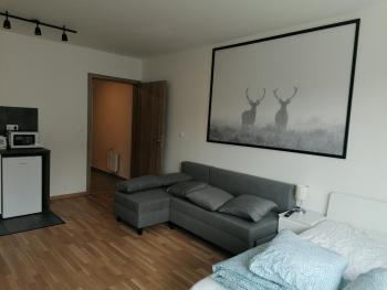 Brand new studio apartment #62 with free secure parking in the center, Прага (фото 2)