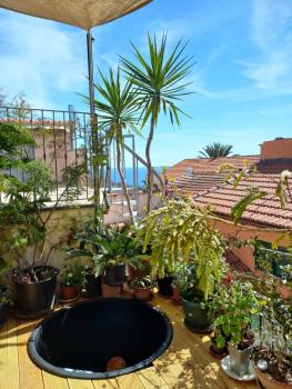 Plan B, Imperia (photo 3)