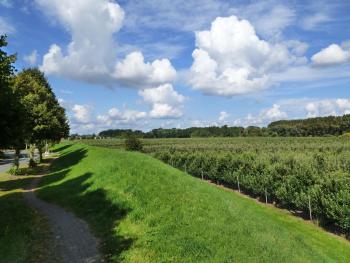 Fewo im Alten Land, Hamburk (fotografie 4)