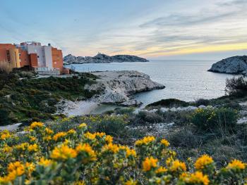 île du Frioul, la daurade du Frioul, marseille, Marseille (photo 4)