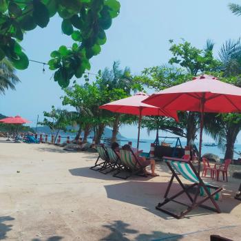 Chamisland Hanhly homestay, Hoi An (fotografie 5)