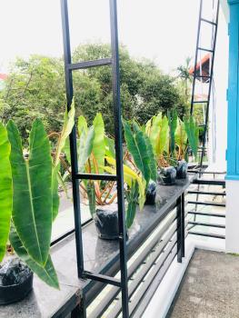 An's Family Homestay Hoi An - 5mins walk to Hoi An Ancient Town, Hội An (Foto 5)