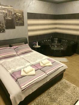 Ceca Apartman, Niš (photo 2)