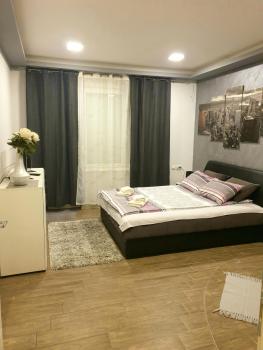 Ceca Apartman, Niš (photo 3)