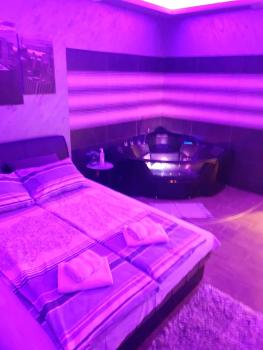 Ceca Apartman, Niš (photo 5)