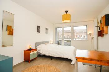 Stylish apartment with free BaselCard, Basilea (foto 2)