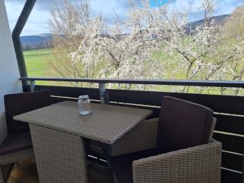 MUT.HAUS, Bischofsheim an der Rhön (photo 2)