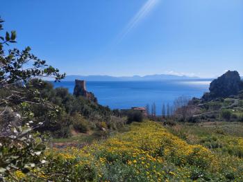 Piccola Baia, Scopello (foto 4)