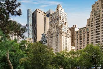 The Ritz-Carlton New York, Central Park, Nowy Jork (zdjęcie 2)