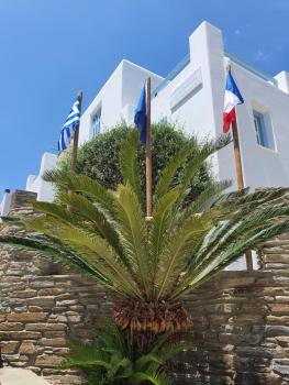 Karaoulanis Apartments, Andros (zdjęcie 3)