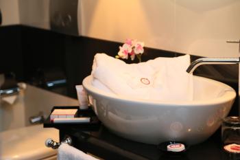 Ramada Hotel & Suites Sisli, Istanbul (fotografie 5)