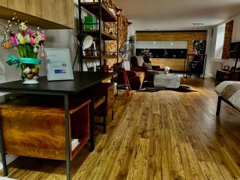 Underground apartment Bratislava Nivy, Братислава (фото 2)