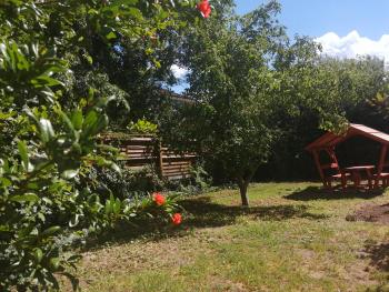 Rákos-patak Family House Garden & Free Parking, Budapeszt (zdjęcie 3)