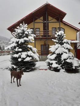 Vila Coman, Întorsura Buzăului (photo 5)