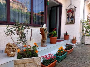 Guesthouse Hygge, Tirana (Foto 5)