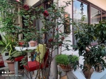Guesthouse Hygge, Tirana (Foto 4)