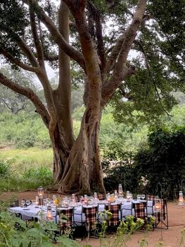 Karongwe - Chisomo Safari Camp, Hoedspruit (foto 5)