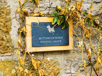 Buttercup Down, Bakewell (fotografie 5)
