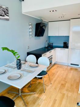 City Heart Apartment with a Sunny Rooftop Terrace, Tallinn (photo 4)