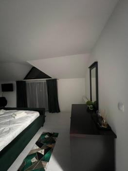 Apartamente 9, Băile Felix (fotografie 5)