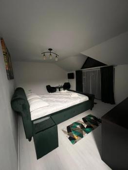 Apartamente 9, Băile Felix (fotografie 4)