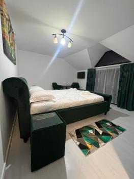 Apartamente 9, Băile Felix (fotografie 3)