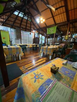 Eco-hotel El Rey del Caribe, Канкун (фото 5)