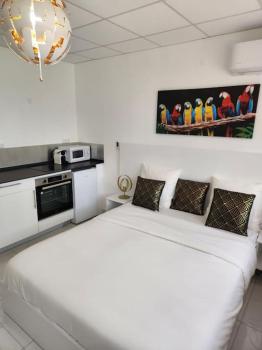 Hello-Guyane, Marina 5, Studio Prestige 5 étoiles, Saint-Laurent du Maroni (photo 3)