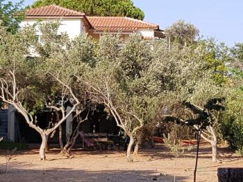 Preveza - The house by the sea, Preveza (foto 4)