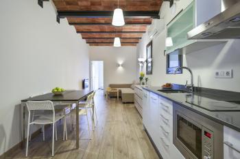 Fira Apartments by gaiarooms, Barcelona (fotografie 4)