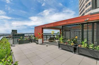 City and view holiday home, Auckland (foto 3)