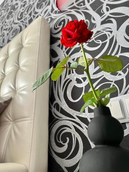 Relax. Просторі та затишні апартаменти, Ternopilʼ (foto 5)
