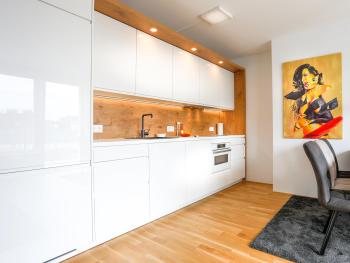 Penthouse Apartments, Вена (фото 3)