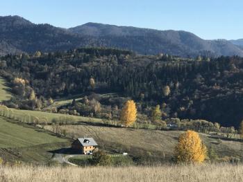 Dom z Zielonego Wzgórza, Chmiel (foto 2)