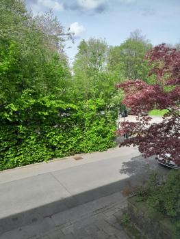 Zuhause im Grünen, Essen (foto 2)