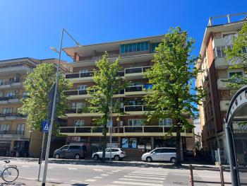 Scaramuzza 7, Grado (foto 4)