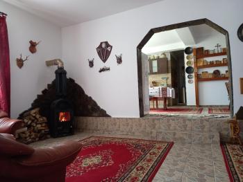 David House, Bicaz (Foto 2)