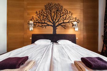 AirHome - Tree Spirit, Tallinn (photo 2)