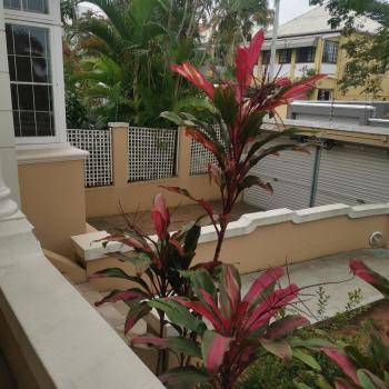 Esperamos, Durban (foto 3)