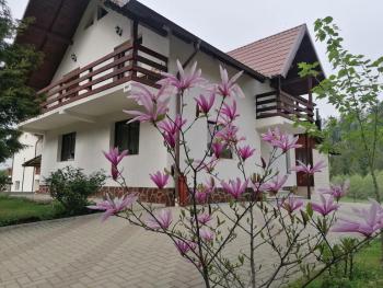 VoroLand, Gura Humorului (foto 2)