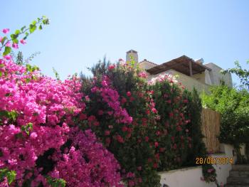 Aloe & Lotus Villas, Prinés (photo 4)