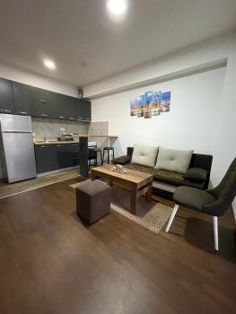 Lester 3 apartments, Skopje (photo 5)