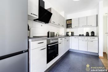 PINEAPPLE APARTMENTS - Zwinger VII - 78qm - 1x free parking, Drážďany (fotografie 5)