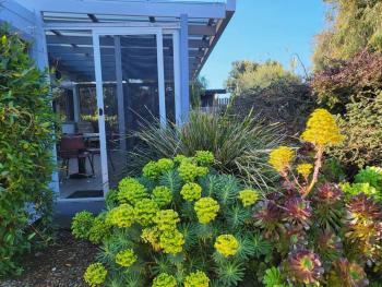 The Dunes - King Studio - 50m from Scamander Beach, Scamander (fotografie 3)