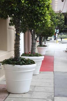 Hotel Carmel Santa Monica, Лос-Анджелес (фото 2)