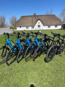 Reetdachhaus, Sauna, E-Bikes, 6 Personen, Osterhever (Foto 3)
