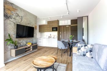 Apartament Kryształ Górski - Stone Hill, Szklarska Poręba (foto 5)