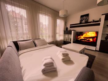 Elegant Escape Apartment I - City Centre & Free Parking, Bratislava (fotografie 5)