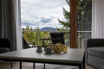 Apart Invest Widok 800 C8, Szklarska Poręba (foto 3)