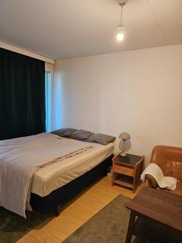 Comfortable 1 bedroom apartment in Helsinki, Helsinky (fotografie 4)